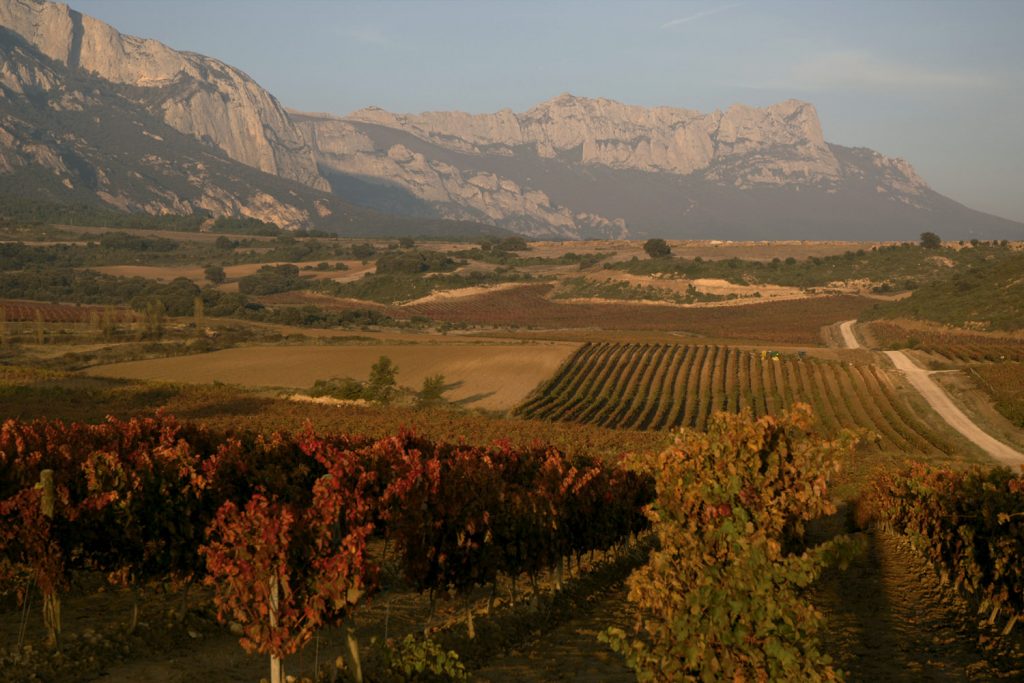 10 лучших винных маршрутов Испании