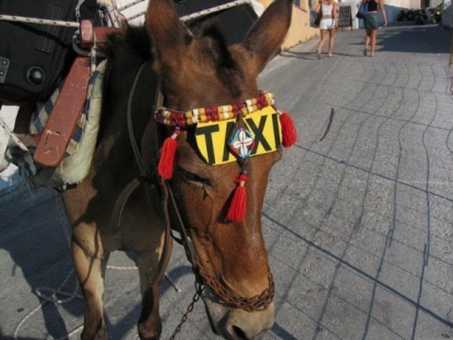10 необычных такси со всего мира