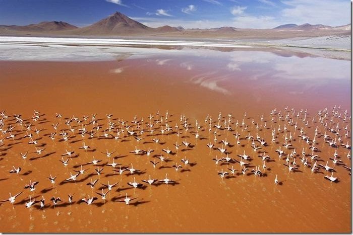10 наиболее впечатляющих снимков пустынь по всему миру