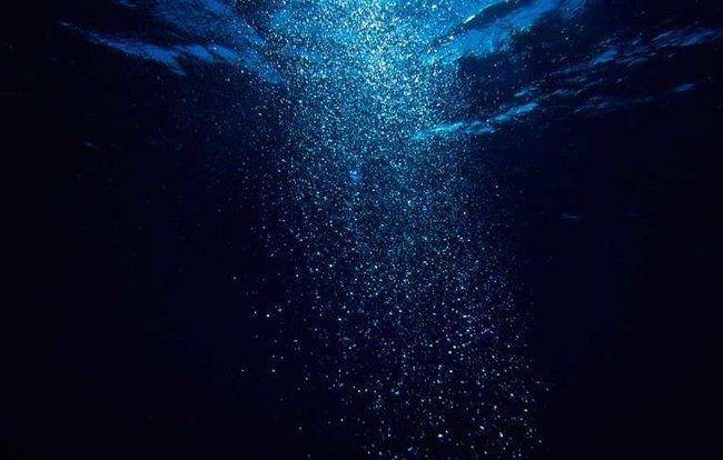 15 шокирующих фактов об океане, которых вы не знали
