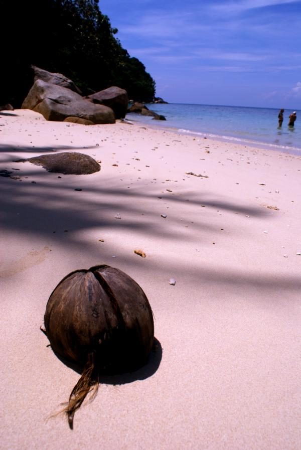 Самый большой из всех необитаемых остров Кокос