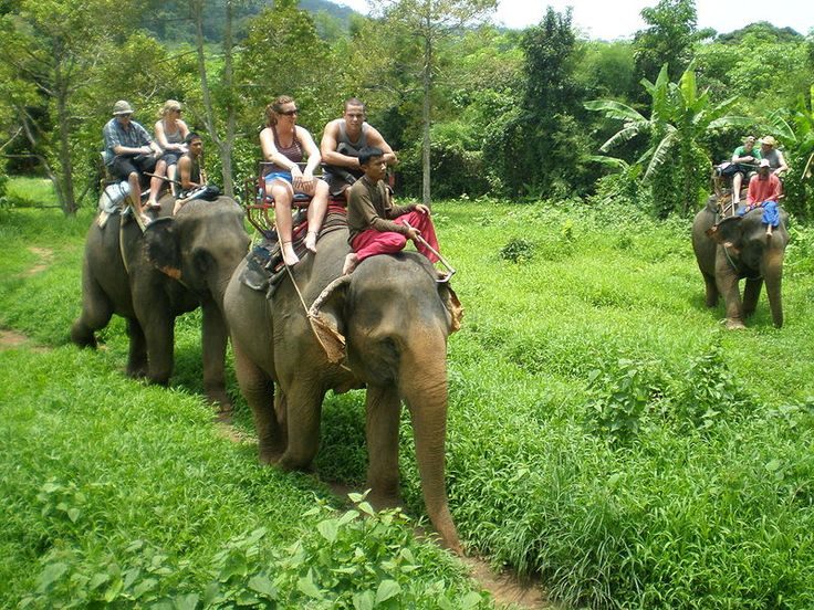 Что нужно сделать в Таиланде каждому путешественнику