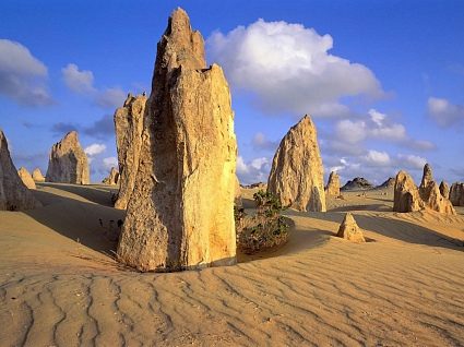 Пустыня Пиннакли и её фантастические пейзажи