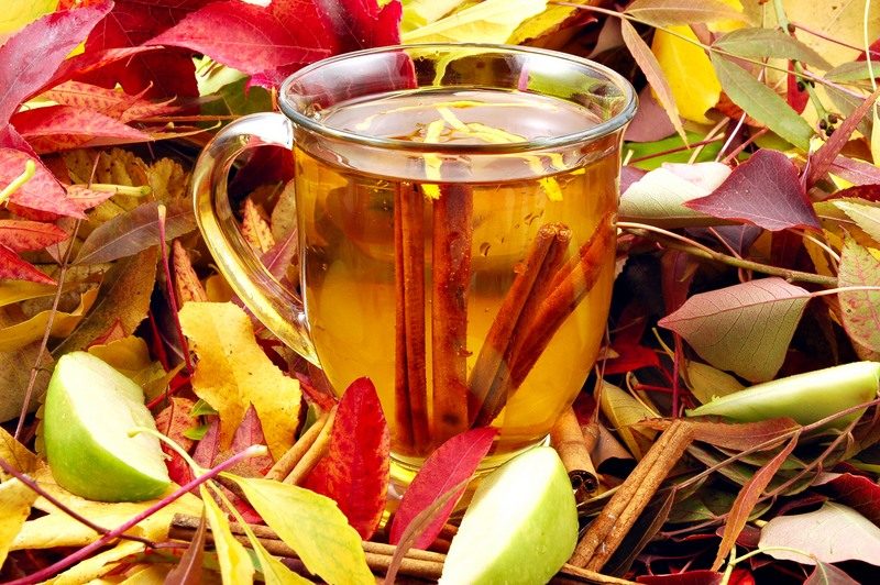 5 горячих напитков для осени: пробуем рябиновый чай и сбитень