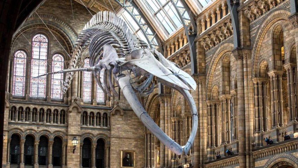 5 музеев Лондона, ради которых стоит затеять путешествие