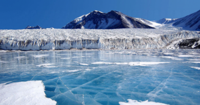 27 коротких удивительных фактов об Антарктиде