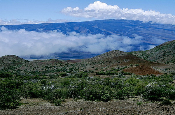Мауна Кеа– самая высокая гора на планете