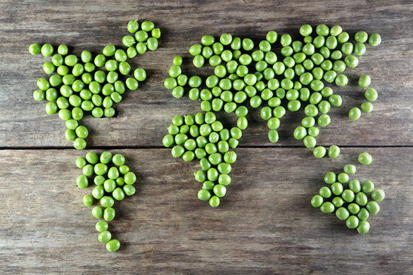 В каких странах самая здоровая пища? 10 самых полезных кухонь мира