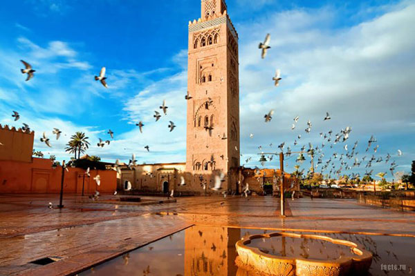 Удивительные факты о стране Марокко
