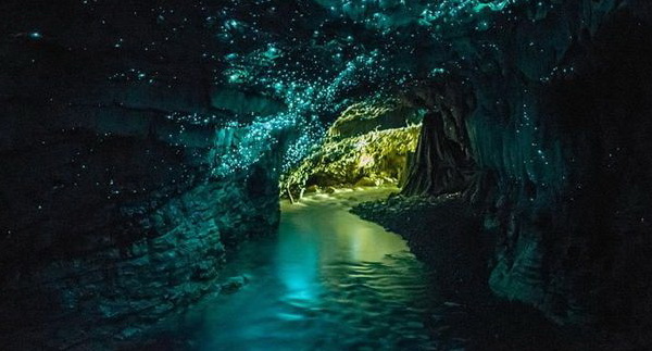 Светящаяся пещера в Новой Зеландии
