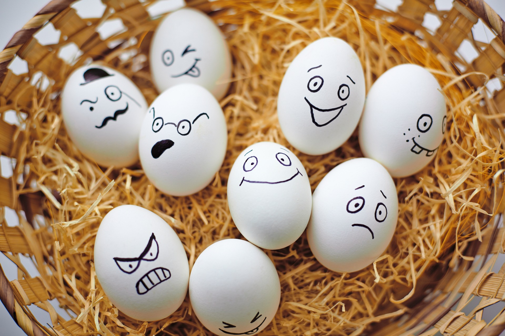 10 интересных фактов о яйцах
