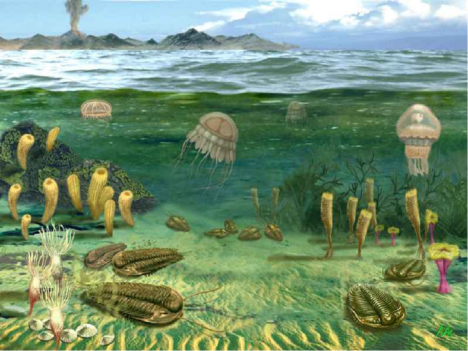 Ученые предполагают, что в «водных мирах» у жизни есть шанс