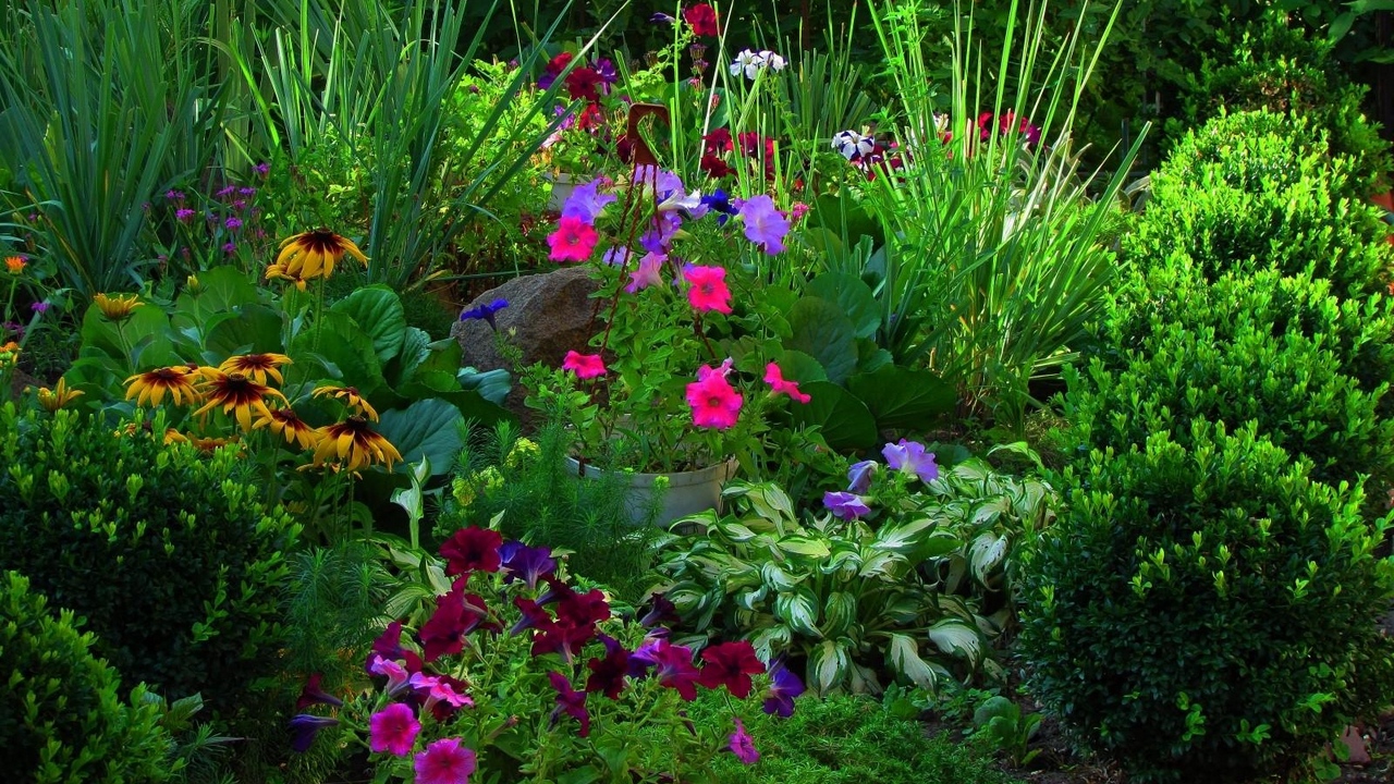 Выбираем самые ароматные растения для цветников