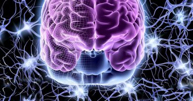 Ученые смогли перепрограммировать нейронную сеть головного мозга