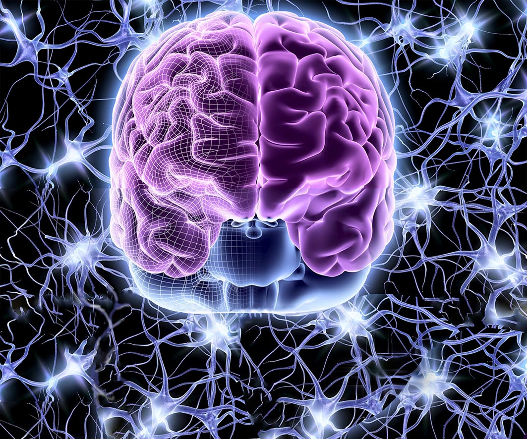 Ученые смогли перепрограммировать нейронную сеть головного мозга