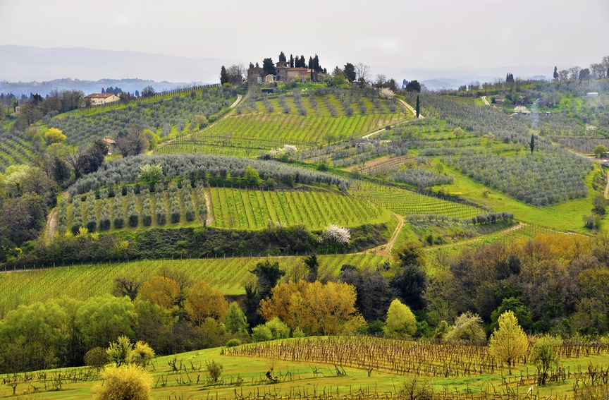 Под градусом: 5 лучших винодельческих регионов Европы
