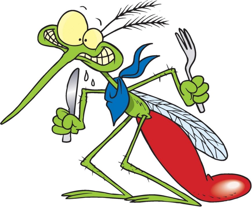 8 Убийственных ароматов против комаров