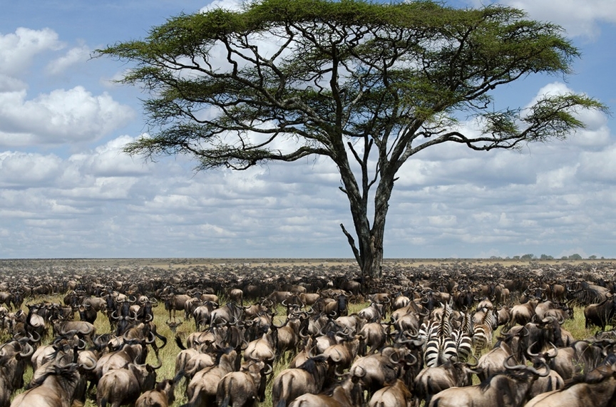10 самых интересных национальных парков Африки