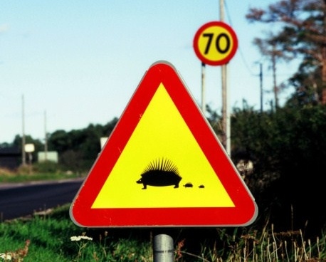 Самые необычные дорожные знаки в мире