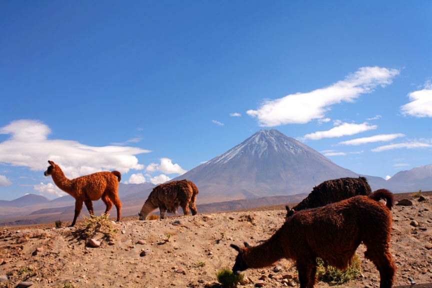 8 уважительных причин провести отпуск в Чили