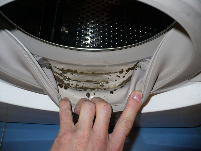 Как избавиться от плесени в стиральной машинке