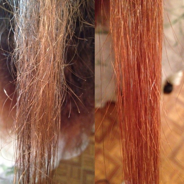 Как избавиться от секущихся кончиков и вьющихся волос