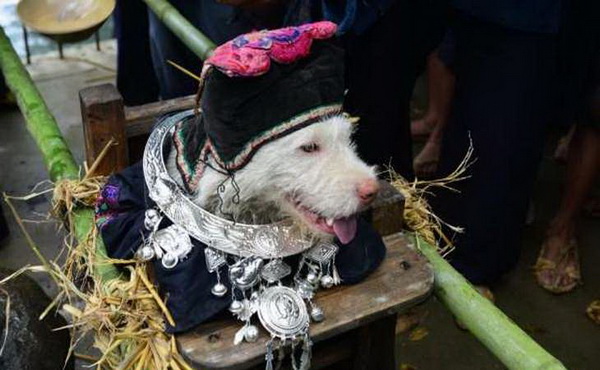 Древнекитайский праздник ношения собак