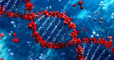 Открытия и технологии, связанных с молекулой ДНК и генами