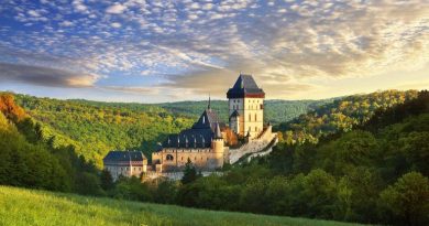 Если вы являетесь ценителем старинной архитектуры и средневековых замков, то первой мыслью будет поездка в Англию, или Германию. Но многие упускают из виду Чешскую Республику, где также есть на что посмотреть. Эта крошечная страна на самом деле имеет самую плотную концентрацию замков в мире, с более чем 2000 интересных экземпляров в разных областях Чехии. Хорошая отправная точка для знакомства с замками — Прага. Некоторые самые интересные замки страны находятся в прекрасной сельской местности, окружающей эту красивую столицу.