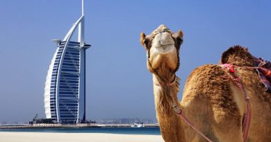 Что категорически запрещено делать в Дубае?