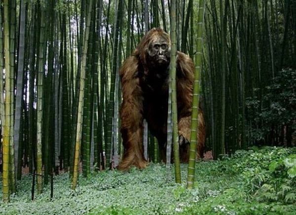Почему вымерли 3-х метровые приматы?