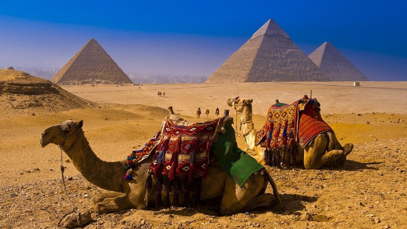 50 интересных фактов о Египте