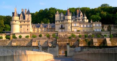 Замок Спящей красавицы во Франции