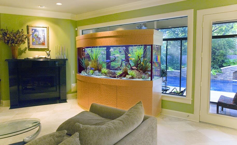 5 идей куда поставить аквариум в маленькой квартире.