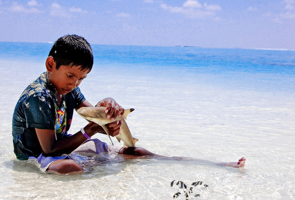 5 природных опасностей на Мальдивах