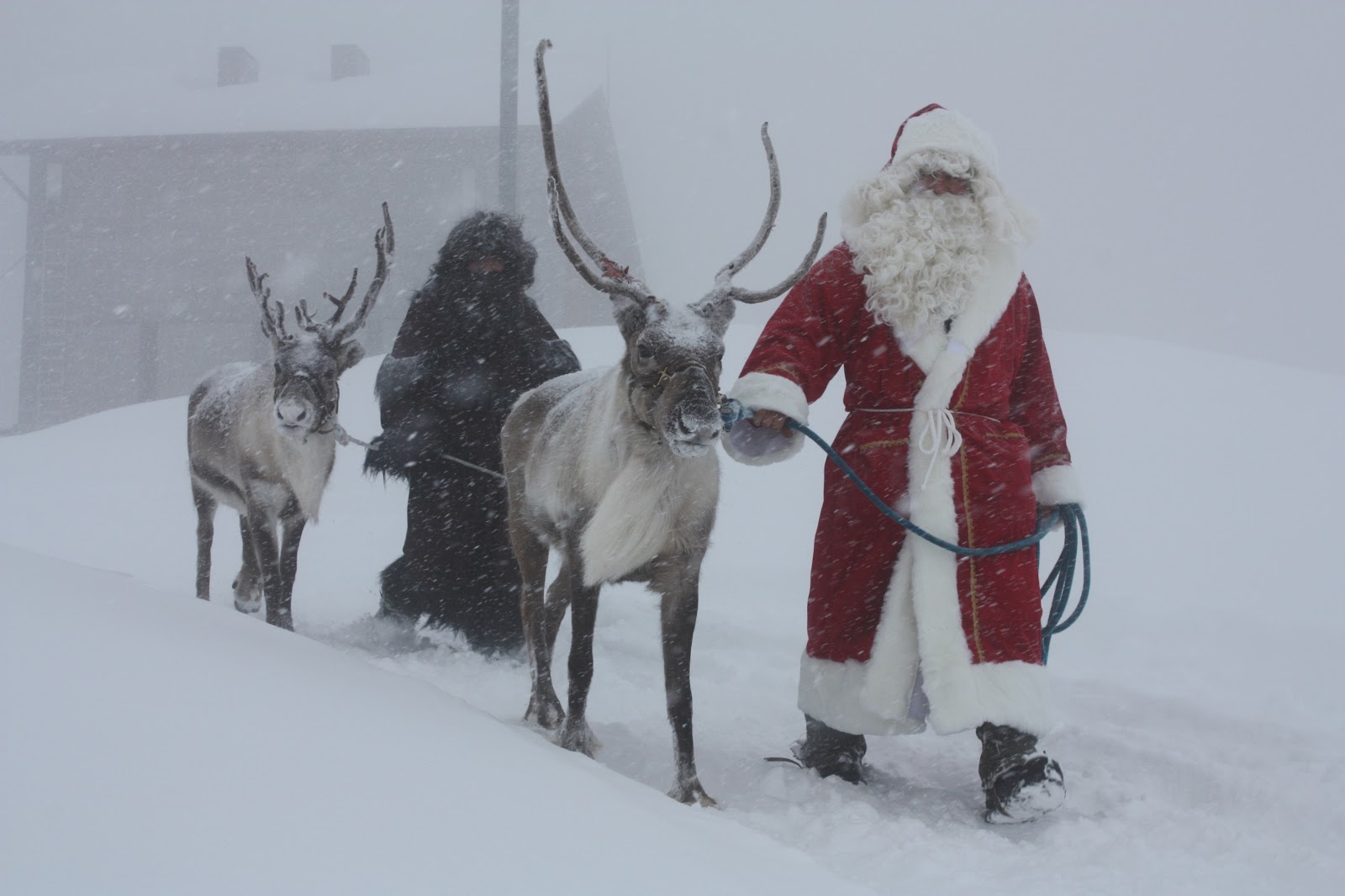 Santa other helper akm. Дед Мороз в Швейцарии. Дед Мороз в Швеции. Швейцарский дед Мороз как зовут.