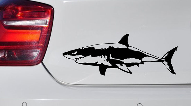 Что означает наклейка в виде акулы на автомобиле