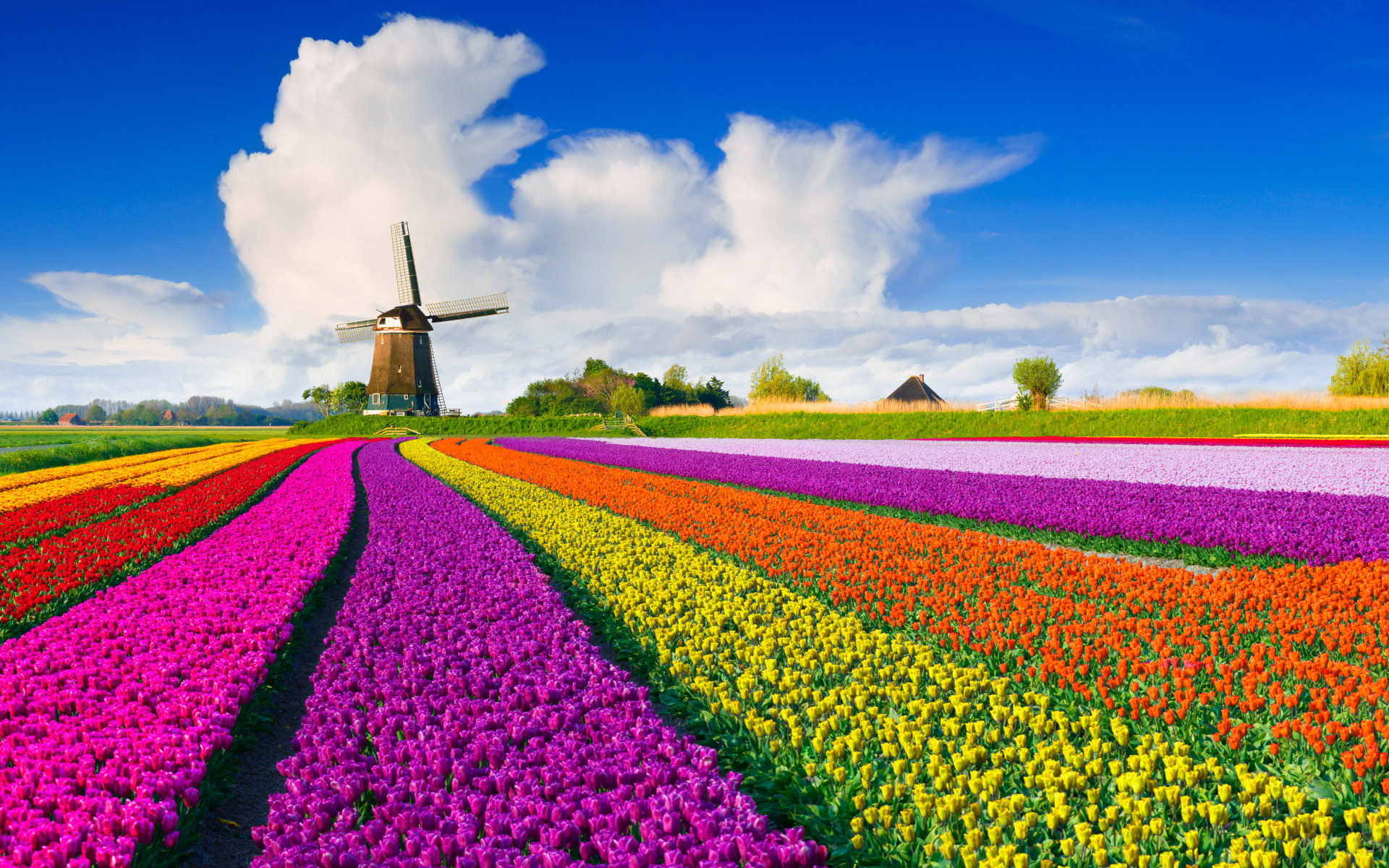 5 сказочных мест, которые существуют в Нидерландах