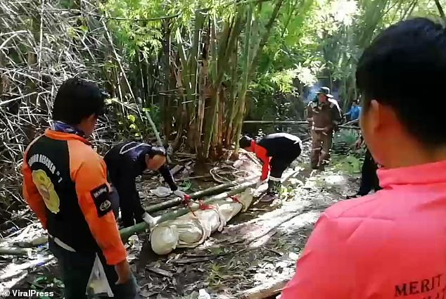 В Таиланде шершни до смерти закусали гида на глазах у перепуганных туристов