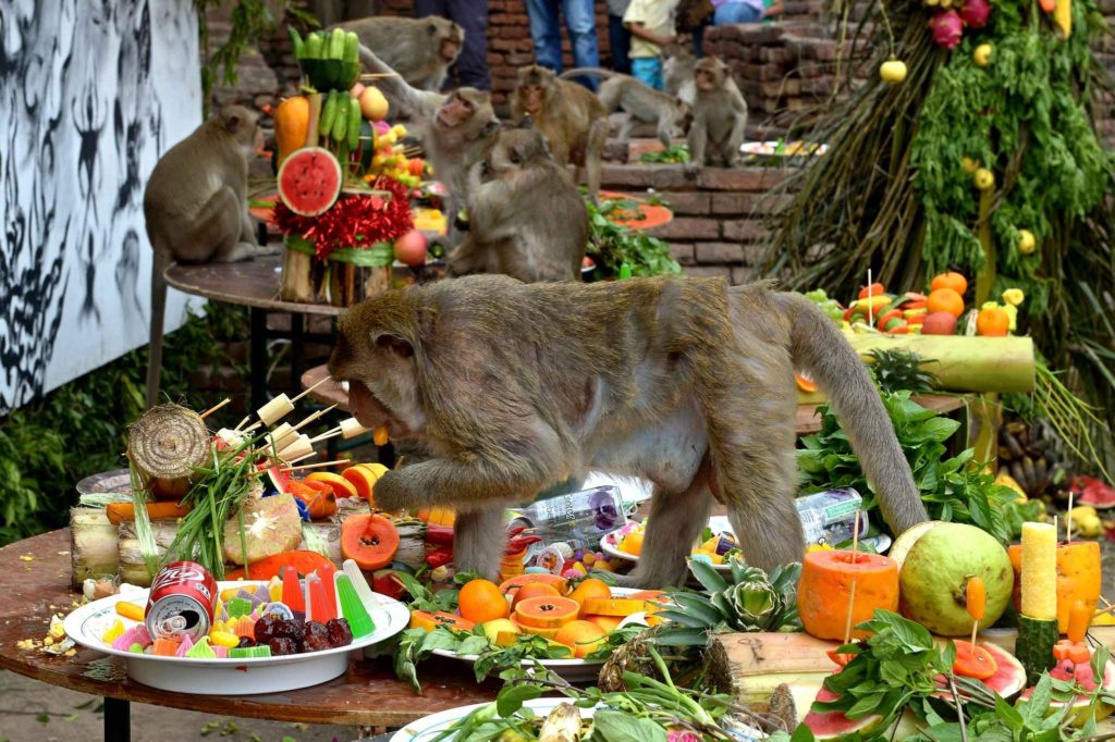 Странный пир для обезьян устраивают жители города в Таиланде