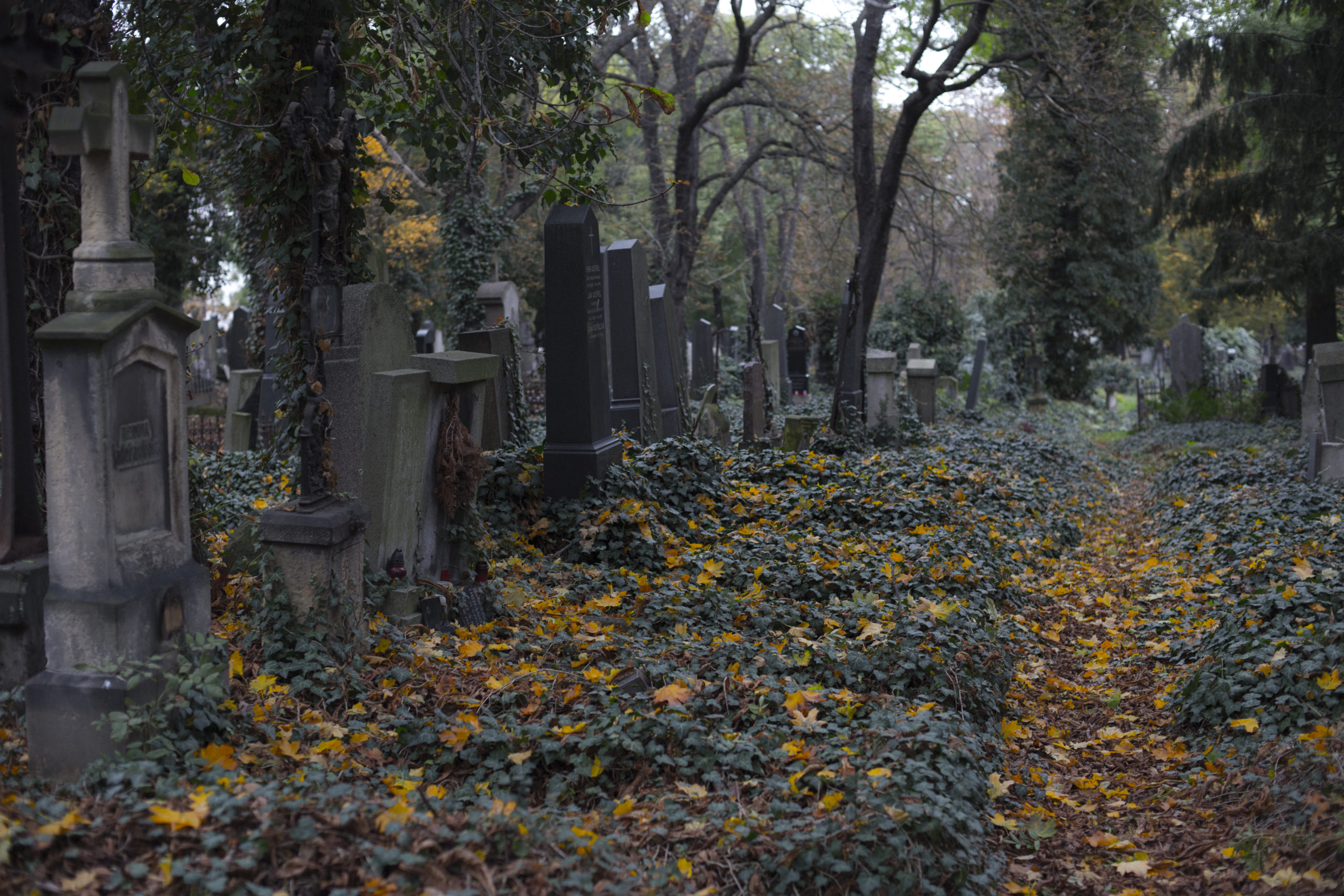 Заброшенное кладбище