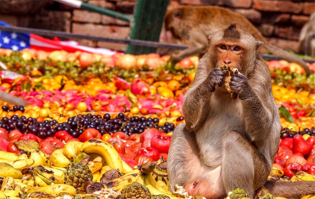 Странный пир для обезьян устраивают жители города в Таиланде