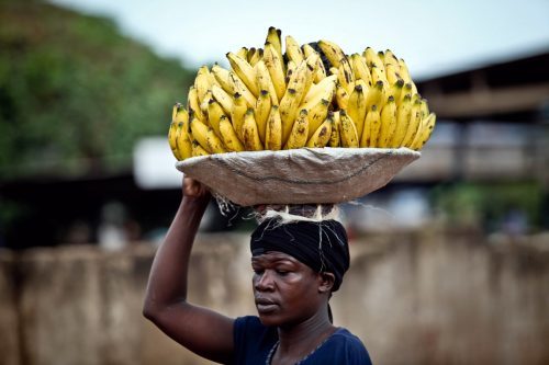 В какой стране едят бананы больше всех в мире