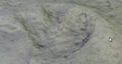 В Кисловодске найдены следы динозавра