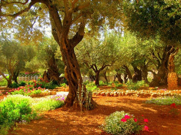 10 достопримечательностей, ради которых стоит посетить Израиль