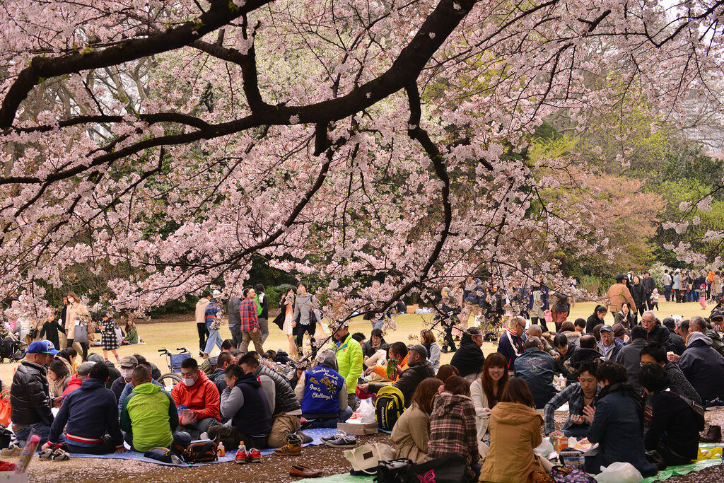 15 невероятных фактов о Японии и японцах