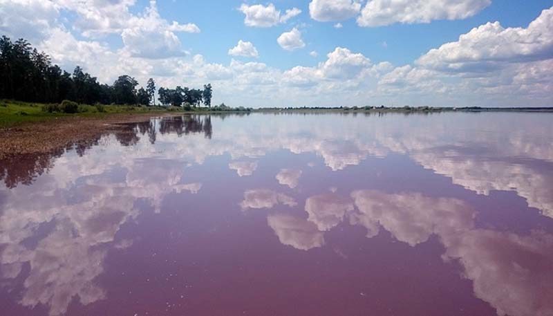 Почему воды озера в Алтайском крае окрашены в малиновый цвет
