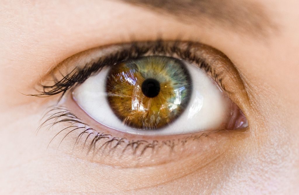 Люди с карими глазами: неожиданные и интересные научные факты