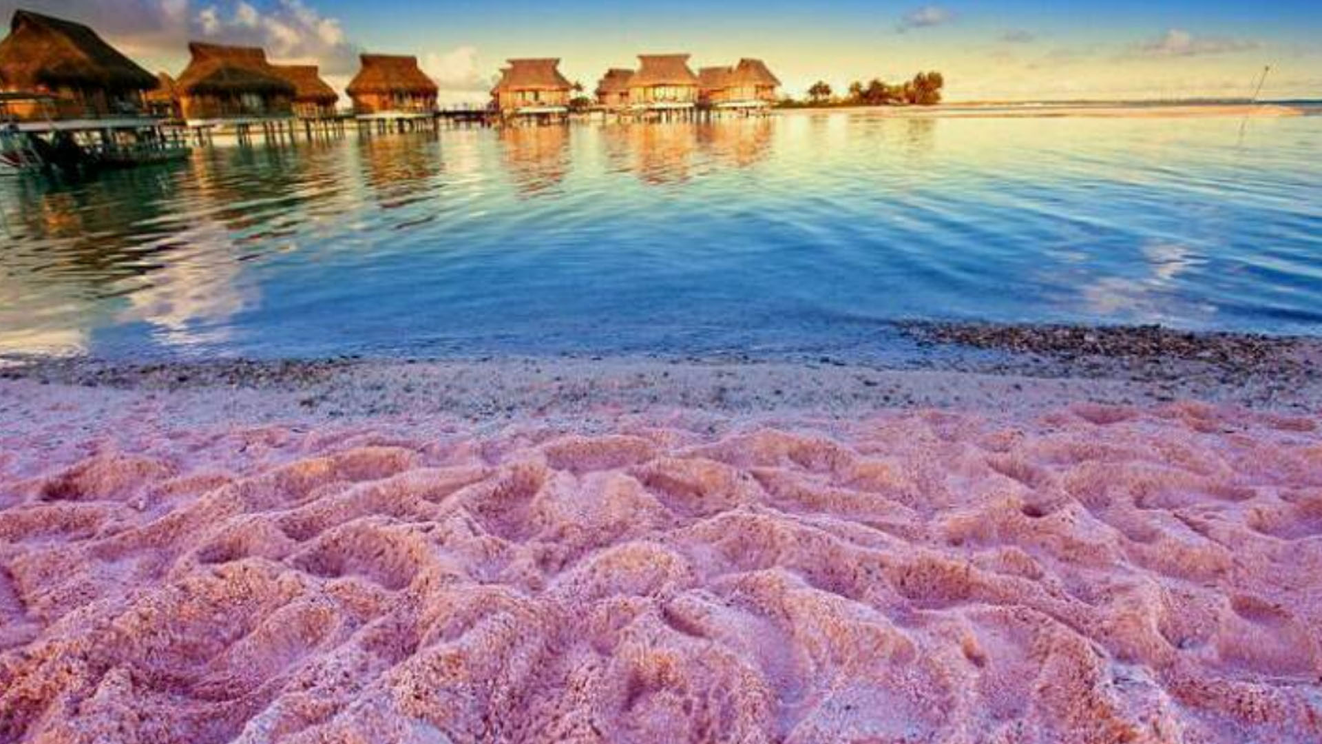 багамы пляж розовых песков