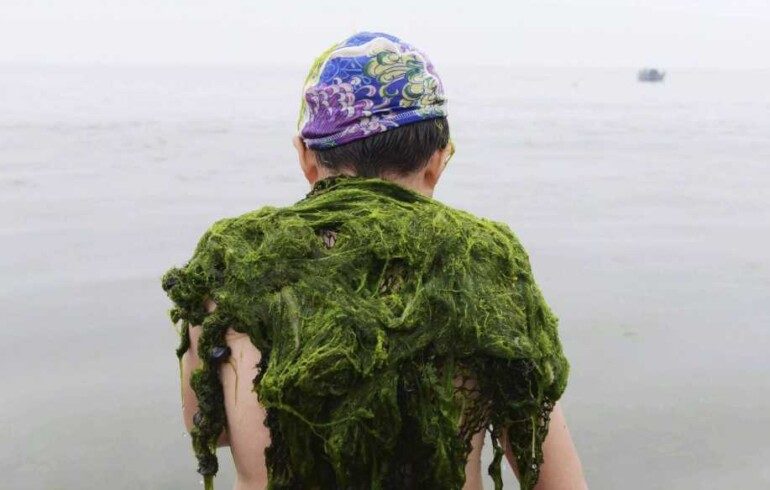 Мелко, грязь и водоросли: какое море больше всего разочаровывает туристов в России